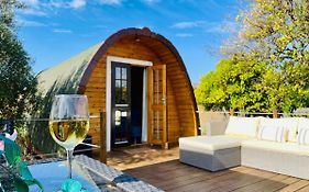 Glamping Turquesa, Feel And Relax In A Wood House